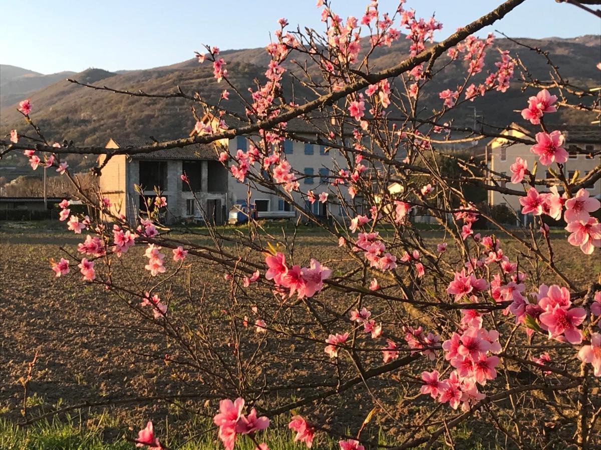 B&B Carlonga Caneva Dış mekan fotoğraf