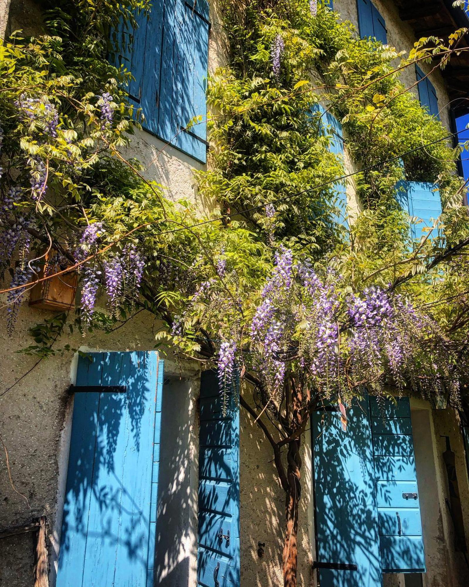 B&B Carlonga Caneva Dış mekan fotoğraf
